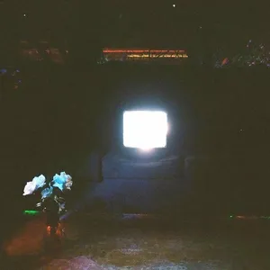 Does it look like I'm here?